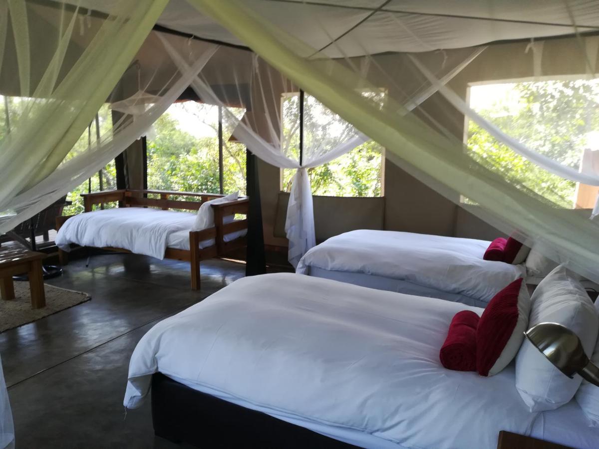 Honeyguide Tented Safari Camp - Khoka Moya Rizab Memburu Manyeleti Luaran gambar