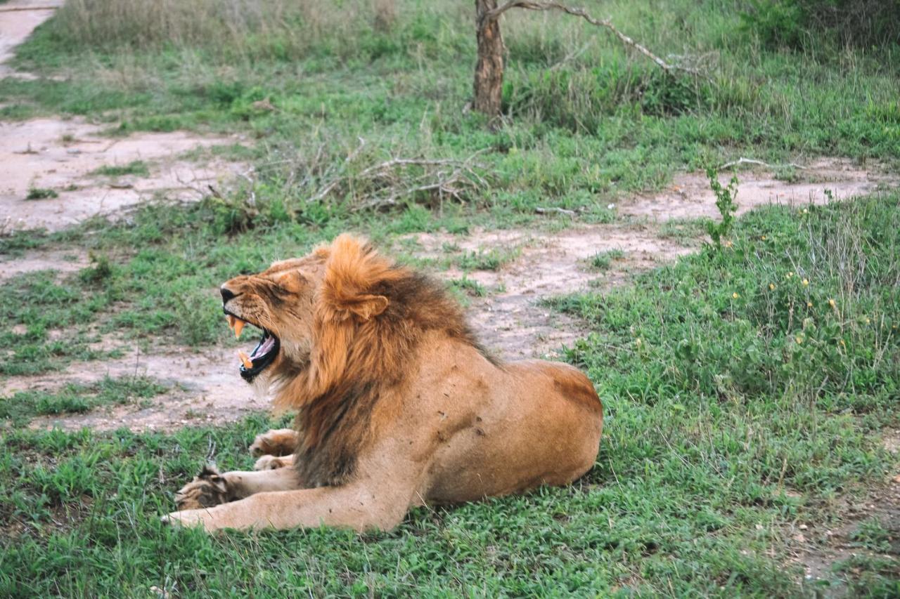 Honeyguide Tented Safari Camp - Khoka Moya Rizab Memburu Manyeleti Luaran gambar