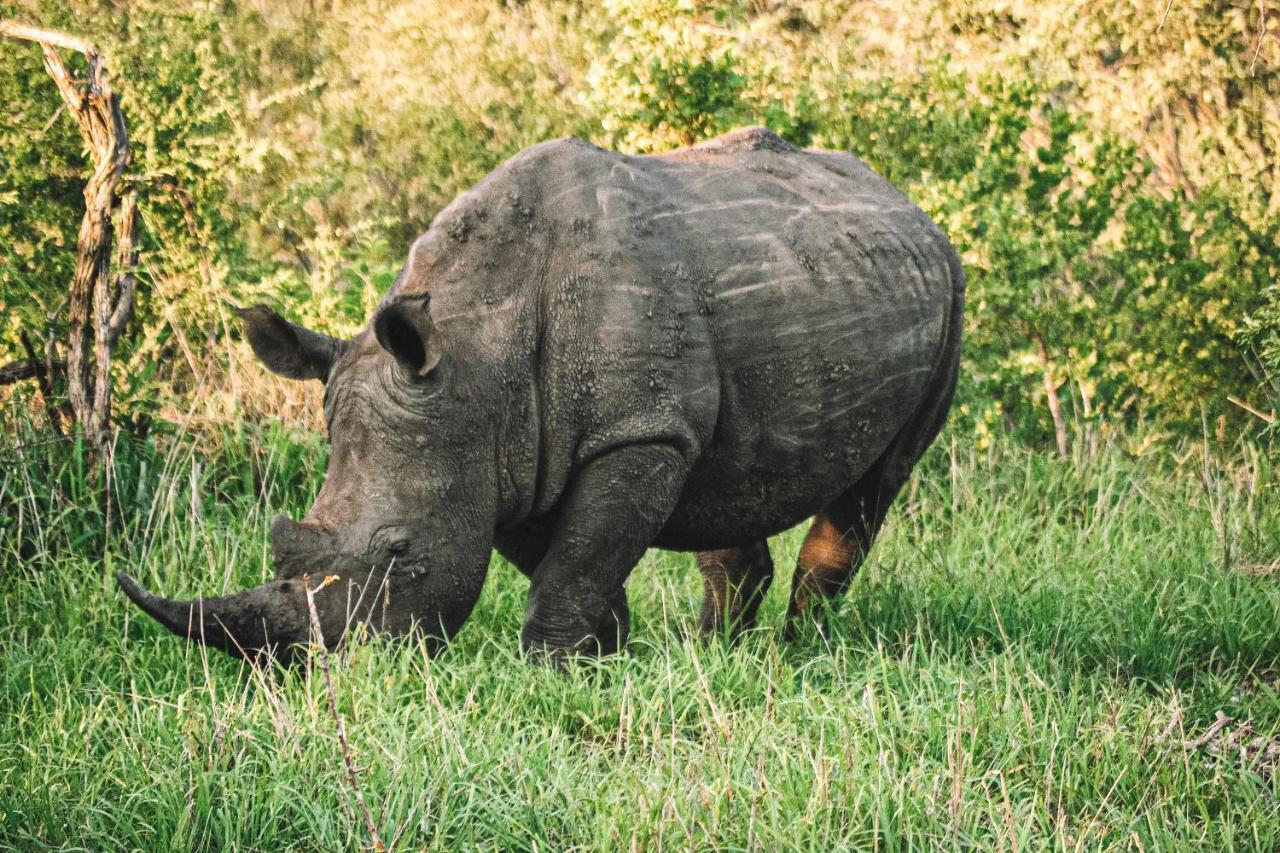 Honeyguide Tented Safari Camp - Khoka Moya Rizab Memburu Manyeleti Luaran gambar